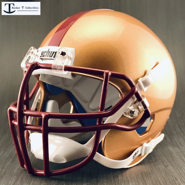 Miniature Collectible NFL Helmets Plastic With Team Logo
